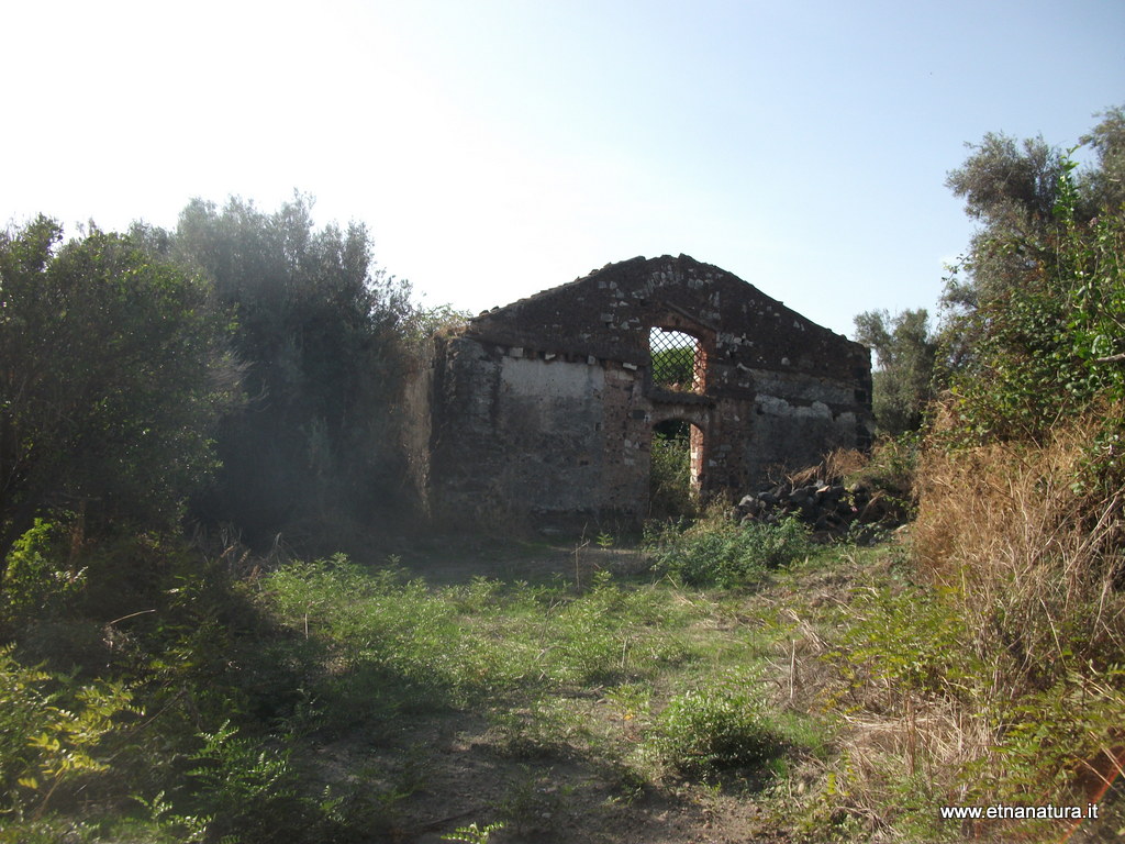 nta Maria di Nuovaluce-16-09-2015 09-43-51